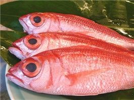 沖縄ならではの色鮮やかで新鮮な魚