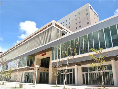 食彩健美 野の葡萄 那覇cargoes店 沖縄 那覇市 安里 和食 ちゅらグルメ