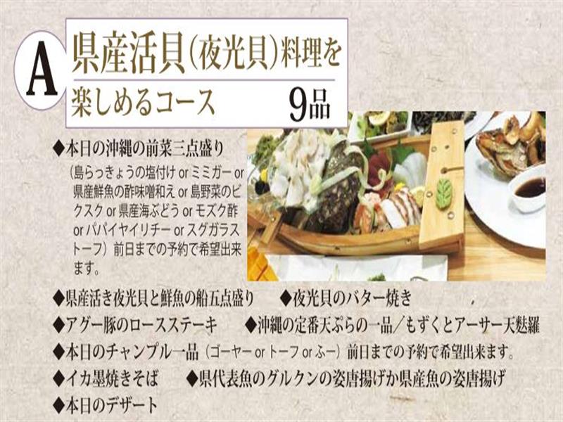 夜光貝 550グラム 置物 | sarayduzu.bel.tr