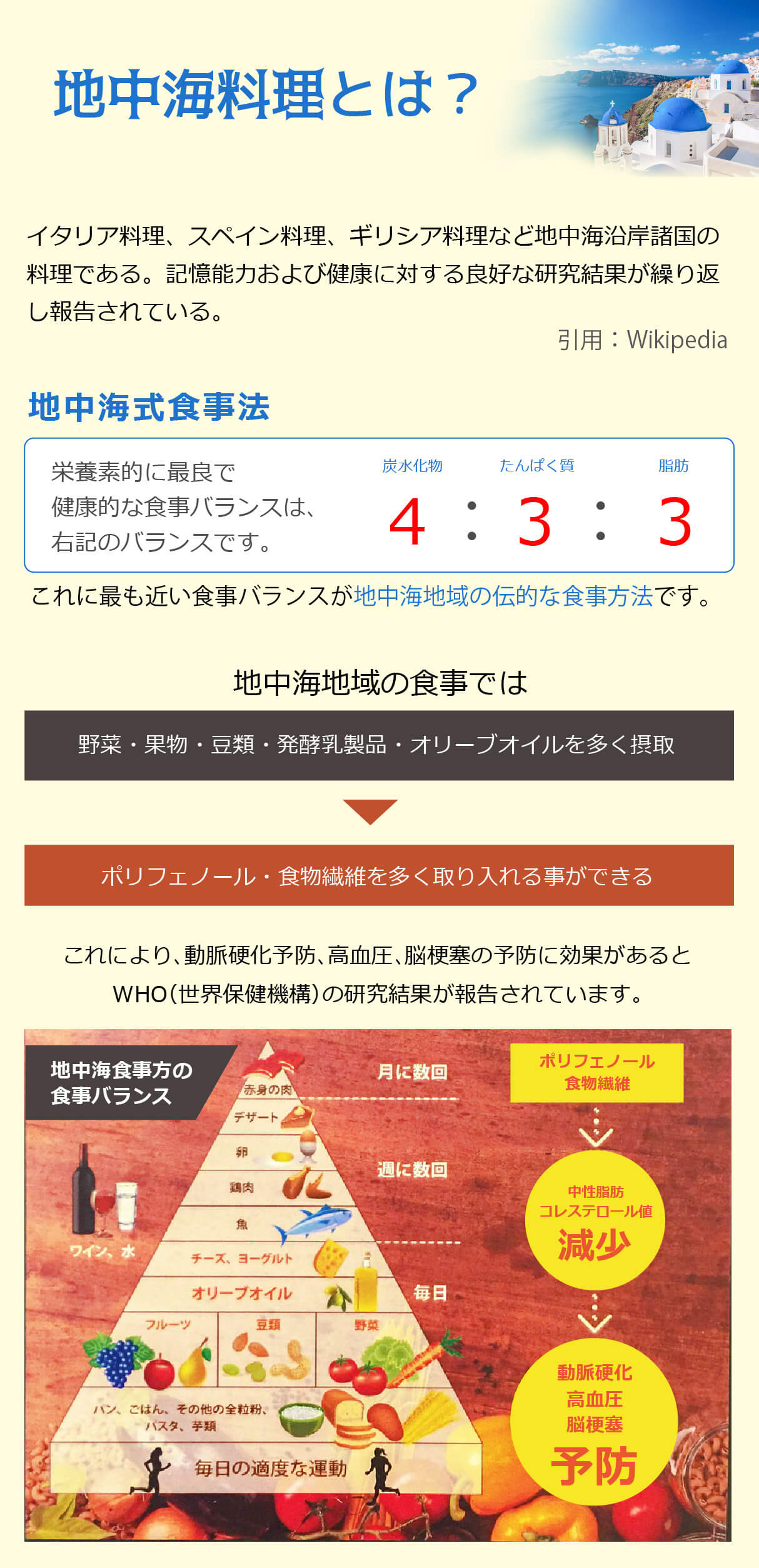 地中海料理説明