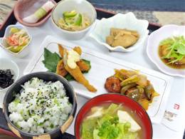 たくさんの小鉢が楽しめる日替わりランチ