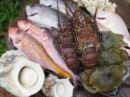 名護漁港直送の新鮮な魚介類を調理致します