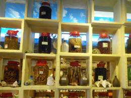 ノニ酢など様々なものが飾られていて個性が光る店内。