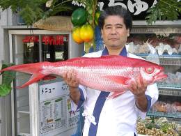 鮮度抜群の魚介類をおいしくいただける。 