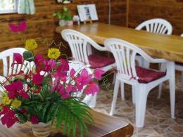 明るい店内にもたくさんの植物