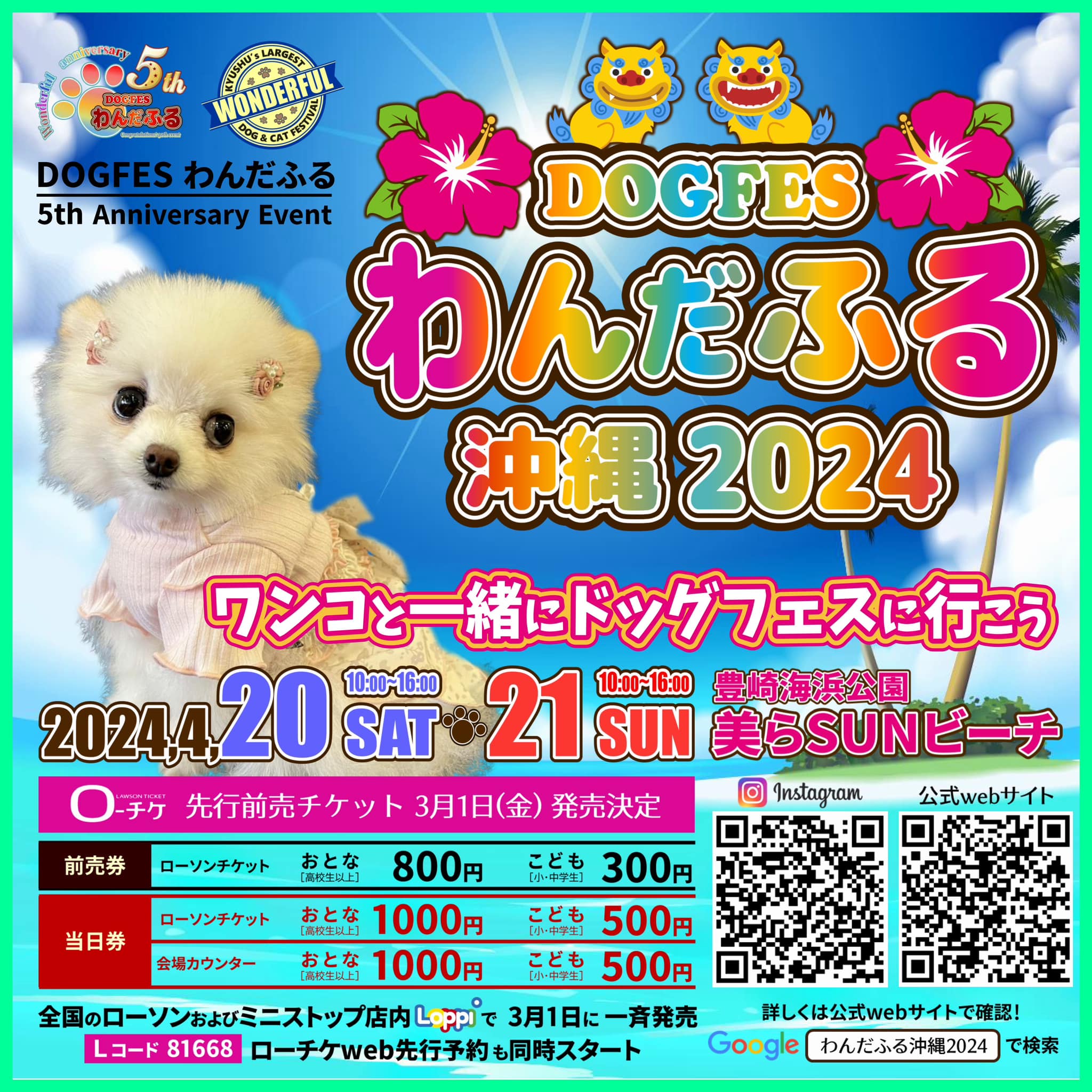 񂾂ӂ鉫2024݃TCg