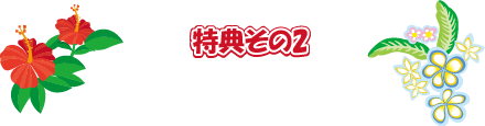 キャンペーンその2